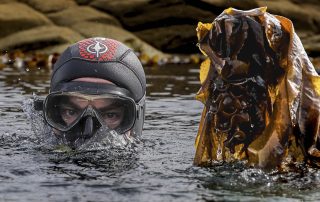 Serie de Iñaki Abella “Volver “ Nº2, publicada no xornal Faro de Vigo, o 19 de Maio de 2025